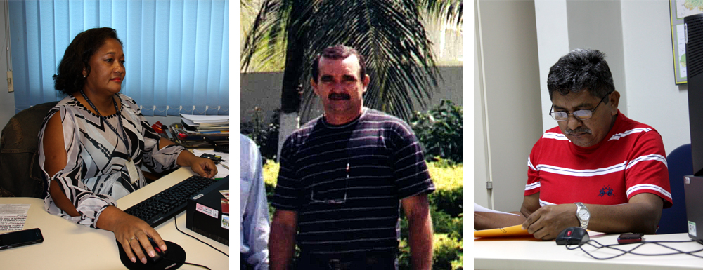 Montagem com imagens coloridas: jogo de seis fotos, mostrando ângulos diferentes do terreno, logo após a demolição do imóvel anterior e a remoção de árvores do local,